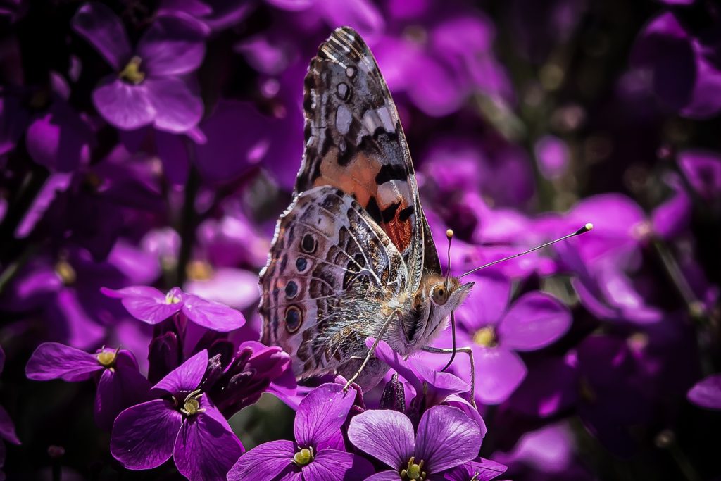 No Touching My Antennae - Gary Hill